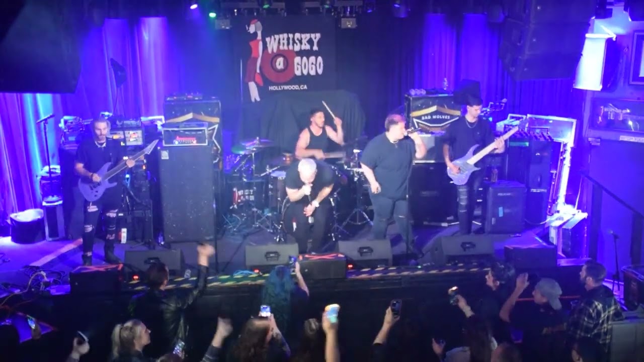 ‪@NVRLESSOFFICIAL‬