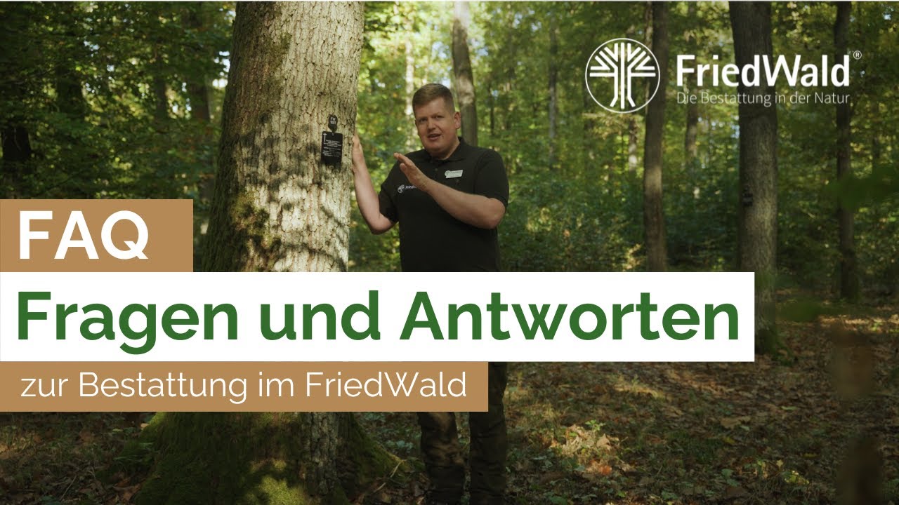 Was ist ein FriedWald? Antworten auf die wichtigsten Fragen zur #bestattung unter Bäumen #friedwald