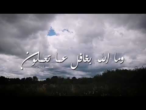 وما الله بغافل عما تعملون د سعد الخثلان قناة طلة