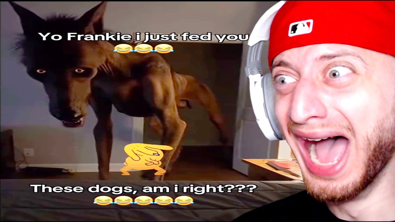 I Reacted To Your Memes And They Are Unsettling