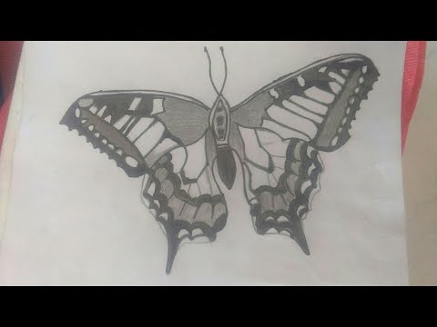 Vẽ con bướm bằng bút chì đơn giản | vẽ hình xăm con bướm | Tập vẽ tranh | How to draw butterfly