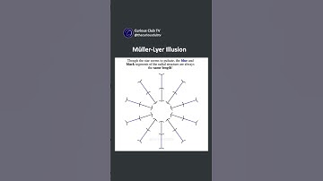 Müller-Lyer Illusion