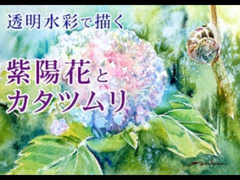 透明水彩で描く紫陽花とカタツムリ - YouTube