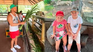 Сергей Лазарев отправился в долгожданный отпуск вместе с сыном и дочкой Зоопарк в Таиланде