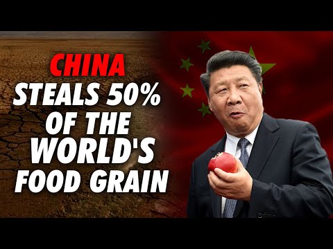 China is hoarding 50% of the world's food grain amid global inflation