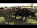 Heather Darby on Placing Value on Farm Products