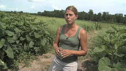 Heather Darby on Placing Value on Farm Products
