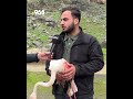 An Adorable Flamingo S Wound Has Been Healed And Is Being Reunited With Nature 
