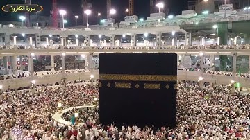 سورة الكافرون ياسر سلامة