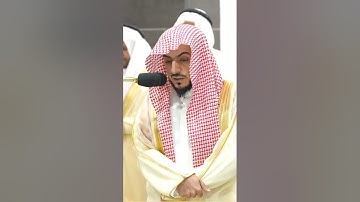 الشيخ القارئ : الوليد الشمسان - السورة : البقرة - الآيات : 67-71
