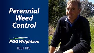Perennial Weed Control | PGG Wrightson Tech Tips