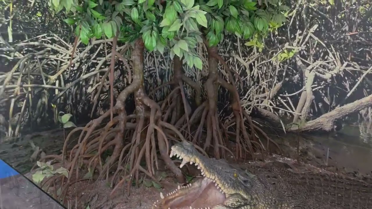 Mahatma Gandhi Marine National Park