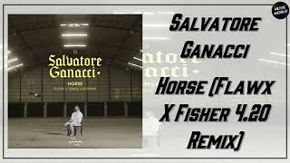 Salvatore Ganacci - Horse (Flawx X Fisher 4.20 Remix)