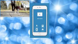 Videoditor: Add Music To Video screenshot 5
