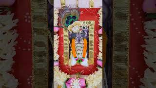 Pavitra Ekadashi shrinathji seva pushtimarg shrinathji yamunaji mahaprabhuji  @govind_mero_hai_