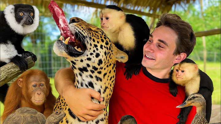 FEEDING MY EXOTIC ANIMALS ! thumbnail