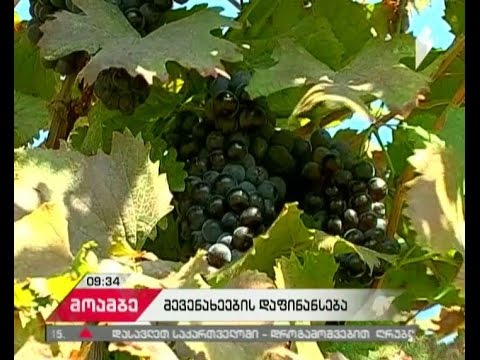 ეკონომეტრი \"დილის მოამბეში''