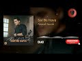 Ahmad Saeedi Sar Be Hava احمد سعیدی سربه هوا 
