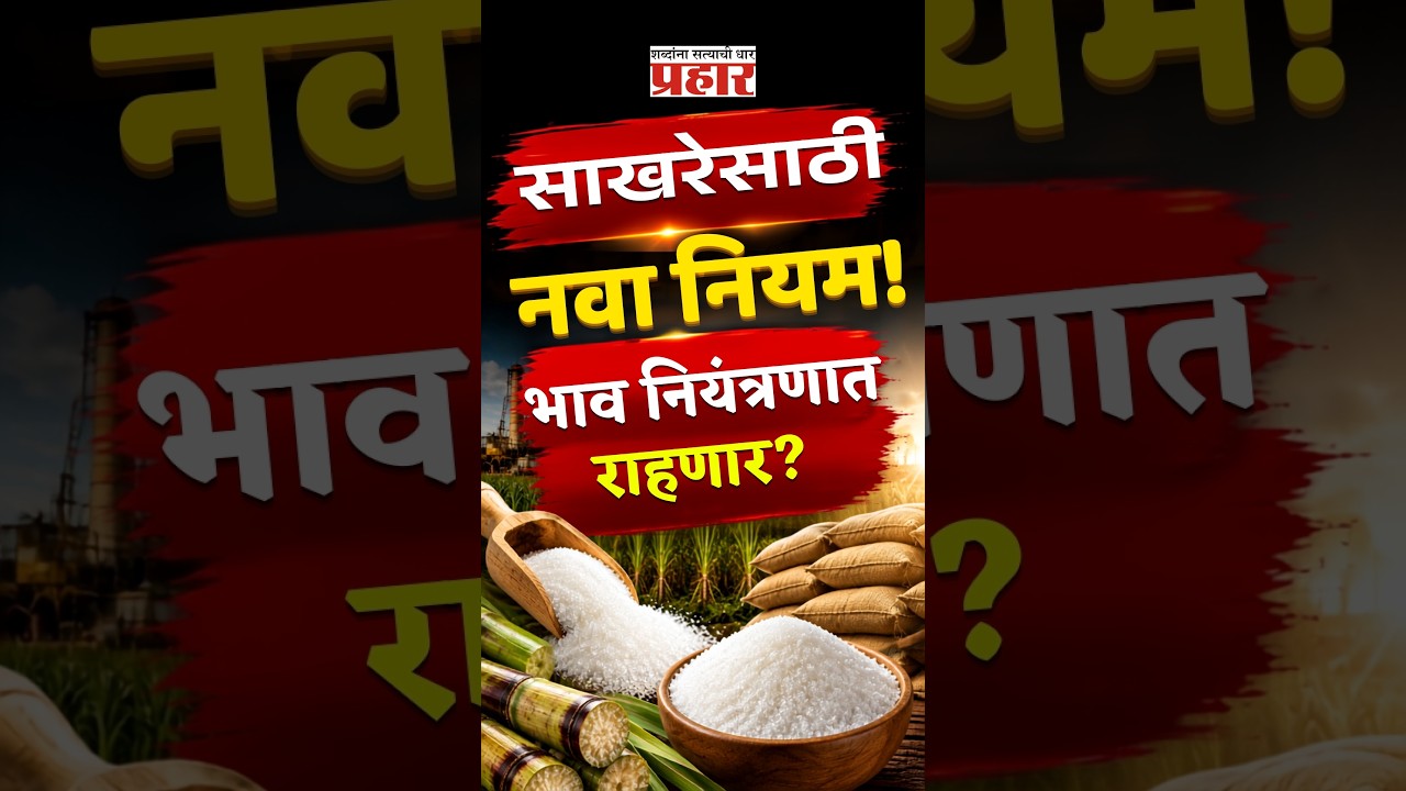 Sugar Price Alert | साखरेच्या किमती नियंत्रणात ठेवण्यासाठी केंद्र सरकारचा महत्त्वाचा निर्णय