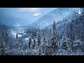 gentle rainfall, forest whispers & ocean piano | relaxing nature sounds + krishna flute music