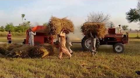 Wheat Thresher Machine Work Video