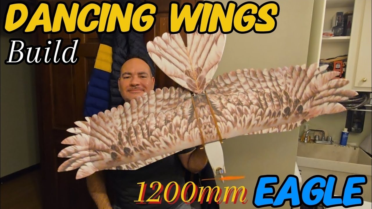 Dancing Wings Hobby E15 Biomimetic Mini Eagle 1200mm Wingspan Build