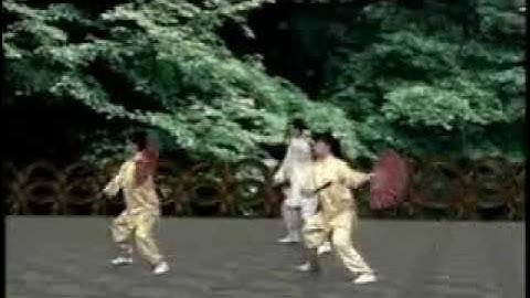 LIÊN HOA THÁI CỰC SONG PHIẾN 40 THỨC 莲花太极双扇正面示范