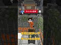 【脱獄】マグマに囲まれた独房に収監された！？ポンコツ看守から急いで脱獄しろ！！！【マイクラ】