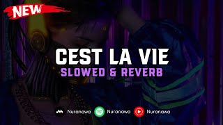 DJ Cest La Vie ( Slowed & Reverb ) 🎧