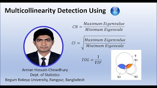 Multicollinearity Detection and its Interpretation in R Profile