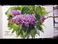 Sketching Lilacs at the New York Botanical Garden