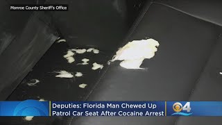 Florida Man Chews Up Police Car Seat After Cocaine Arrest