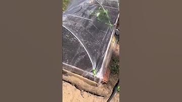 Protect Your Garden with Row Covers #rowcover #gardentips #gardenhack #zone8b