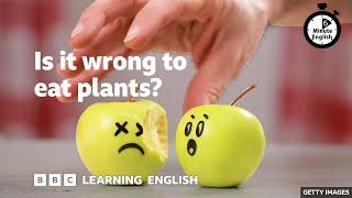 Is it wrong to eat plants? ⏲️ 6 Minute English