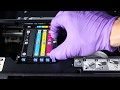 How to Clean Epson Expression Premium XP500 XP600 XP700 XP800 XP900 series of printers