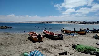 Caldera, Puerto Viejo, Atacama Chile
