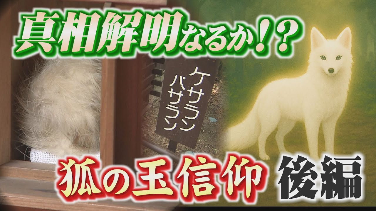 真相解明なるか！？嶺南の謎風習！狐の玉信仰（後編） - YouTube