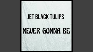 Video thumbnail of "Jet Black Tulips - Never Gonna Be"