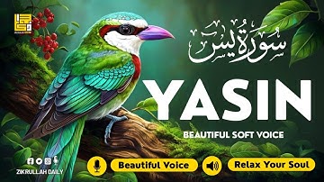 Surah Yasin (Yaseen) سورة يس ✦ Beautiful voice heart touching ✦ Soft Quran For Sleep ✦ Alaa Aqel