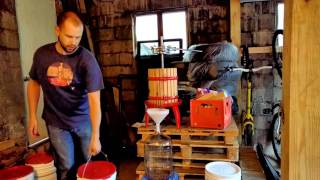 Making Red Wine From Grapes - Part 2