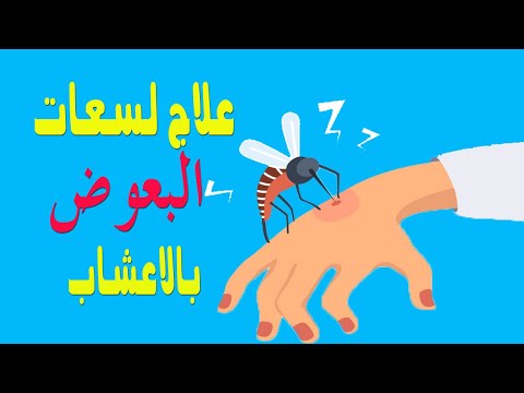 كيفية علاج قرصة البعوض الناموس بالاعشاب