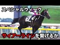 サイアーライン存続が厳しい種牡馬たち Vol.4 スペシャルウィーク