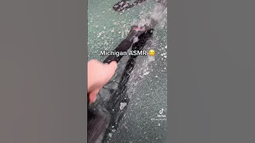 Michigan Weather Be Like...