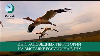 Заповедная орнитология на Международной выставке-форуме «Россия»