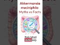 The Truth About Akkermansia and Weight Loss