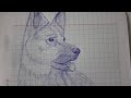 vẽ con chó với một cây bút bi | Drawing dog with a pen