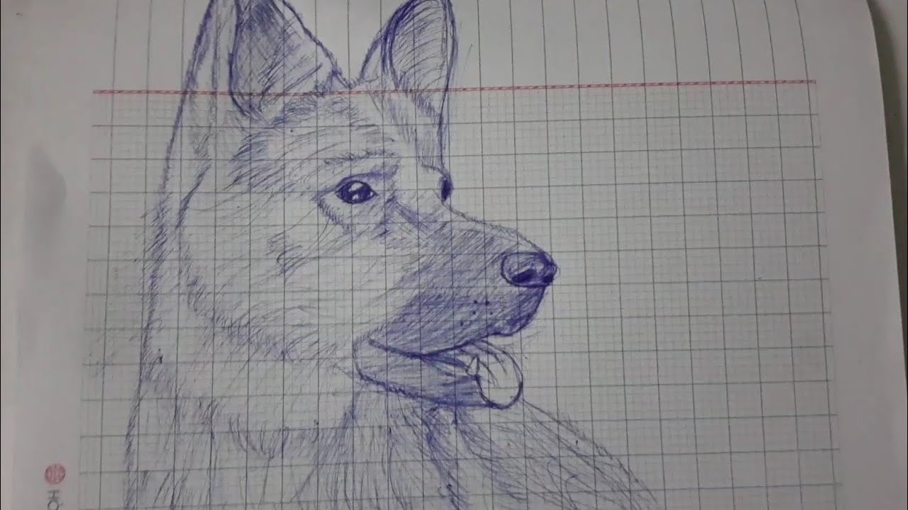 vẽ con chó với một cây bút bi | Drawing dog with a pen - YouTube