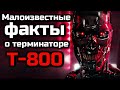 МАЛОИЗВЕСТНЫЕ ФАКТЫ О ТЕРМИНАТОРЕ Т-800