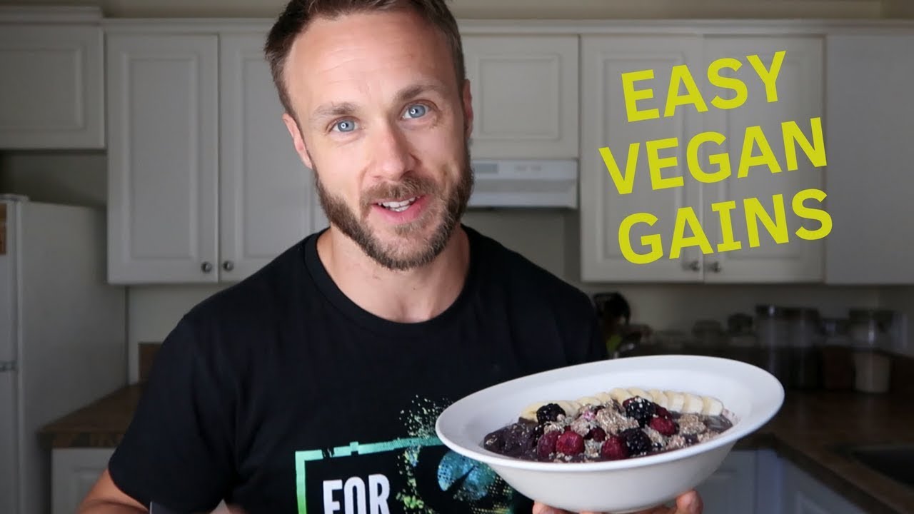 Two Delicious Vivo Life High Protein Breakfast Recipes