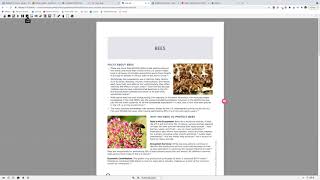 Read&Write for Google Training